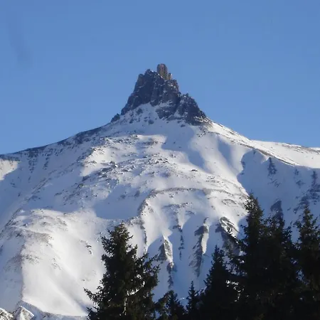 Ferienwohnung Ruedy-Hus Apartment Adelboden